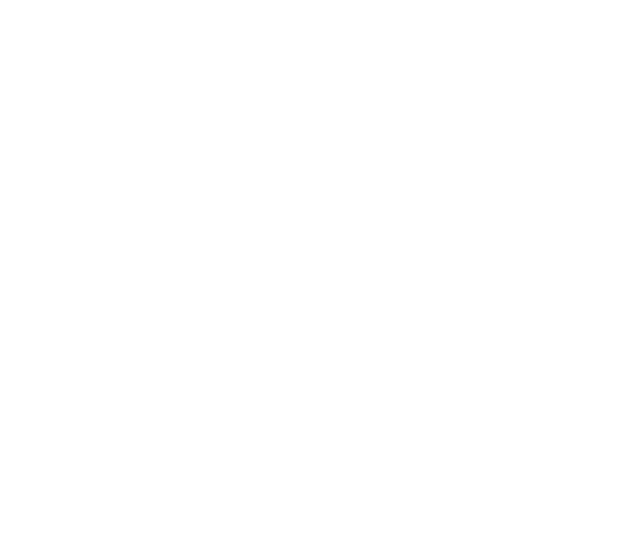 SIA Partnerships